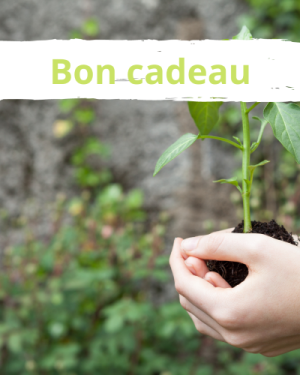 Bon cadeau atelier en ligne – En pause