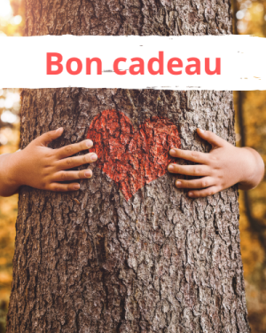 Bon cadeau activités en forêt