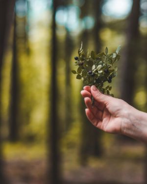 Reliance – 26 pratiques de connexion à la nature