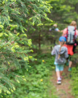 Bain de forêt “famille” privatif – Sur demande