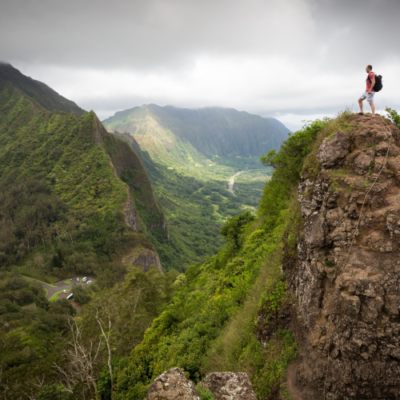 Contempler la nature produit des ondes alpha dans notre cerveau, caractéristiques de l'état de relaxation.