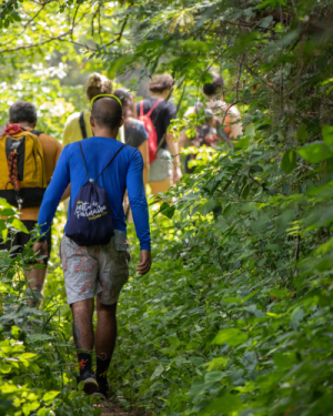Groupe “Epicéa” – Accompagnement éco-anxiété et nature