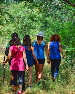 Initiation guide de bains de forêt – 3 et 4 mai 2025