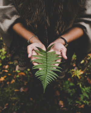 Initiation rituels en nature – 30 mars, 5 et 6 avril 2025